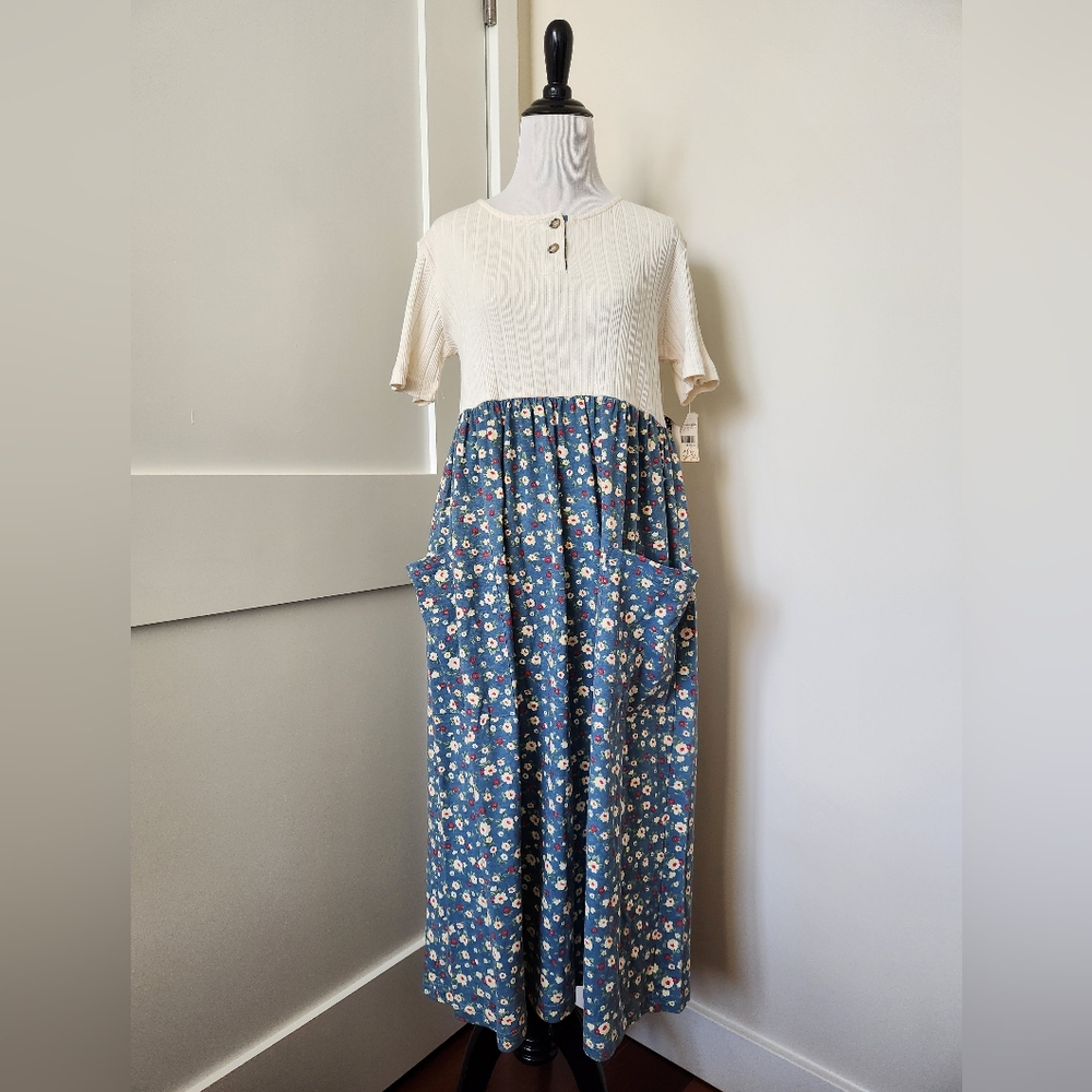 NWT Vintage Steven Ross, Naturally Blue/white floral maxi dress. Size SP.